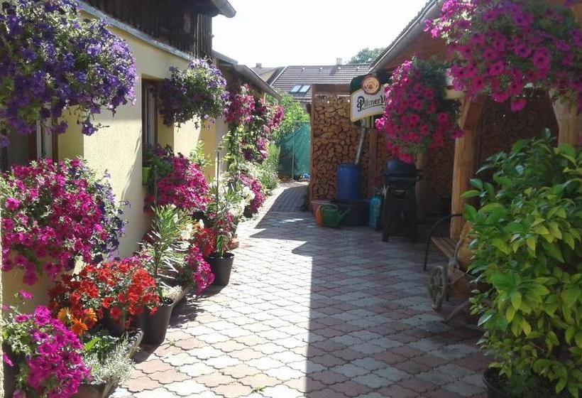 펜션 Penzion Many Peny