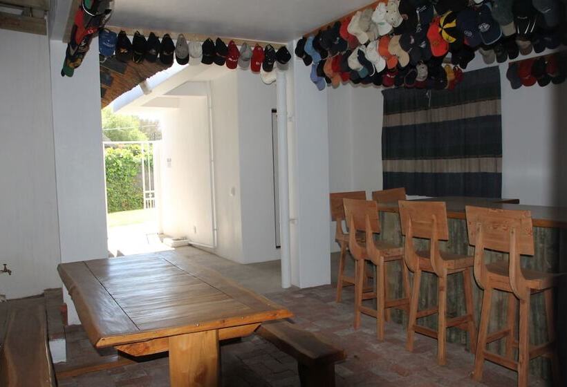 بنسيون Petal S Place