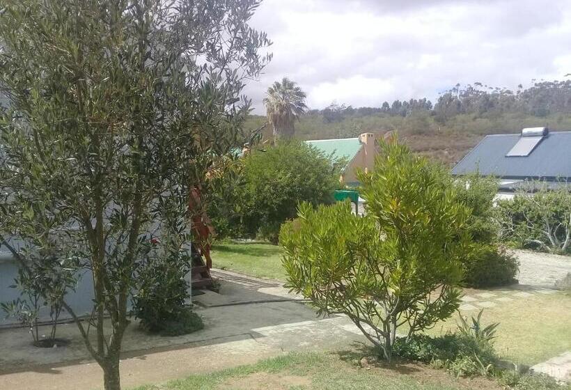 פנסיון Swartberg Guest House