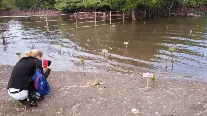 פנסיון The Arya Guest House