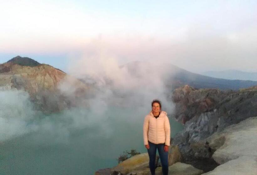 פנסיון The Arya Guest House