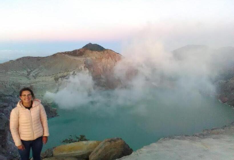 פנסיון The Arya Guest House