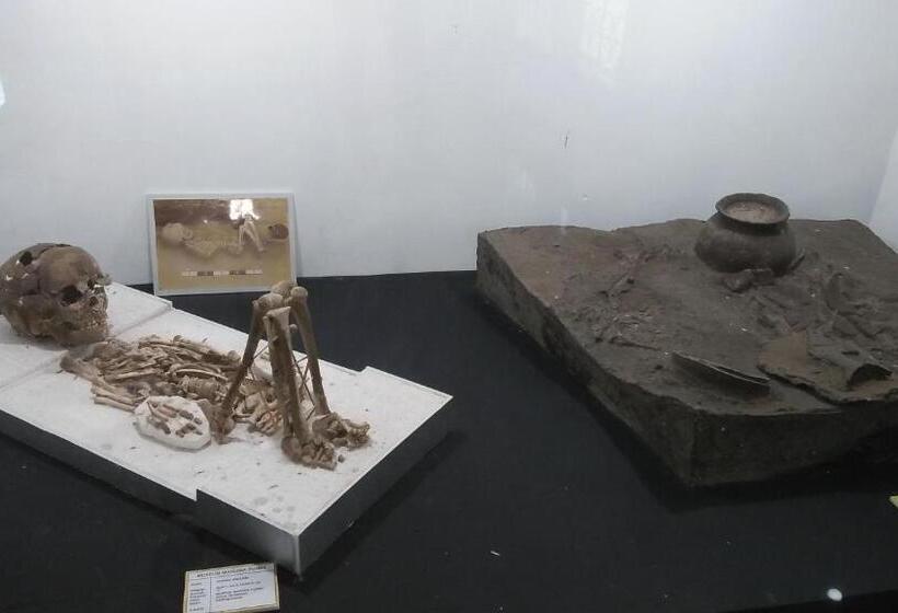 פנסיון The Arya Guest House