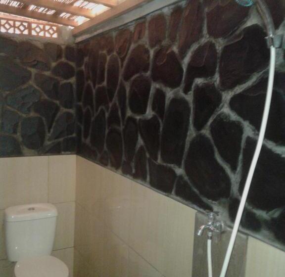 פנסיון The Arya Guest House