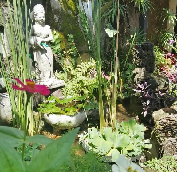 פנסיון The Arya Guest House