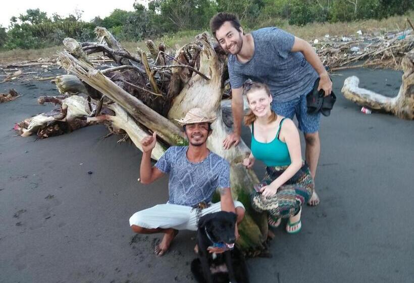 פנסיון The Arya Guest House