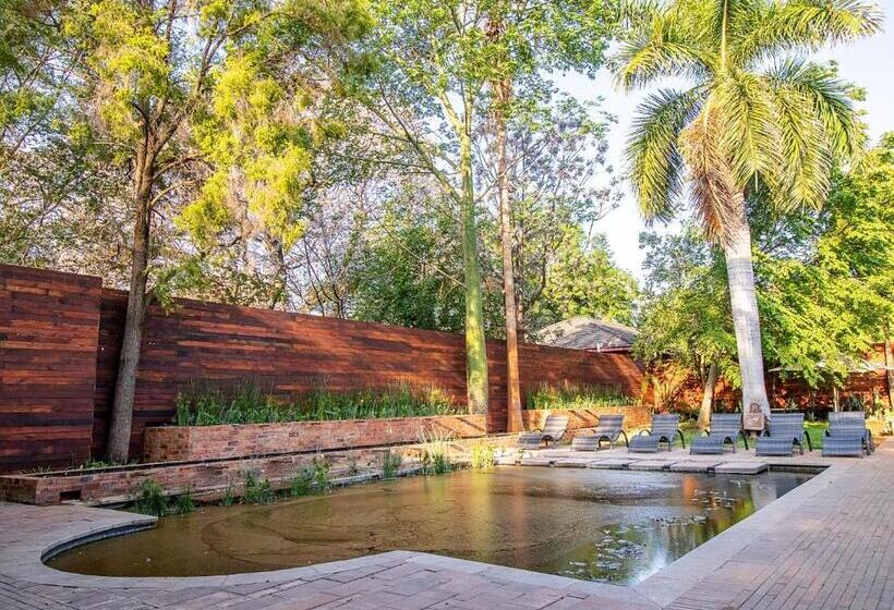 膳宿费 The Doors Inn