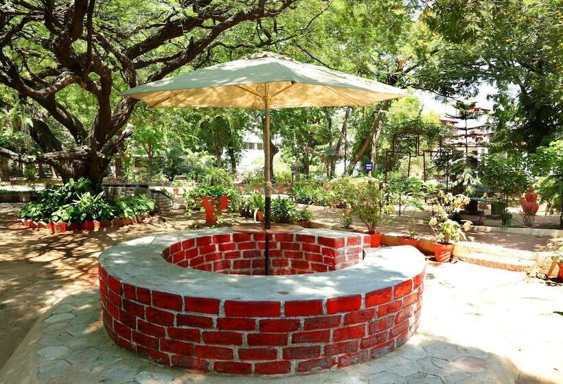 پانسیون Ywca International Guest House