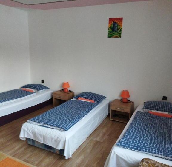 הוסטל Lucky Cat