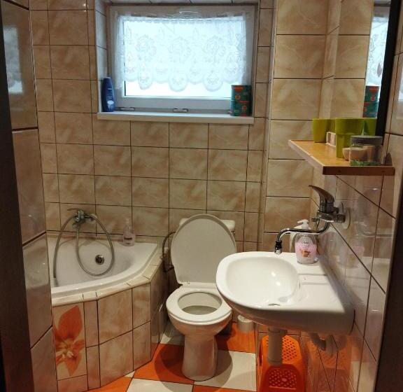 הוסטל Lucky Cat