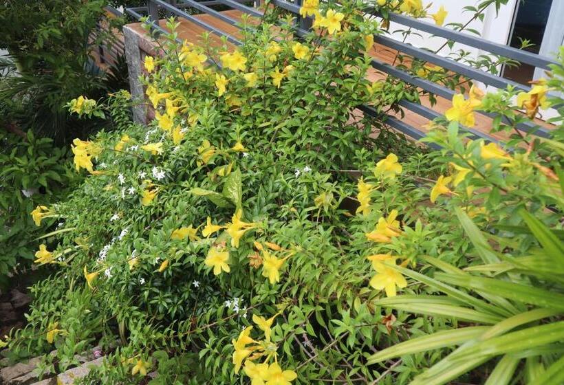 Cassabella Hotel & Apartments