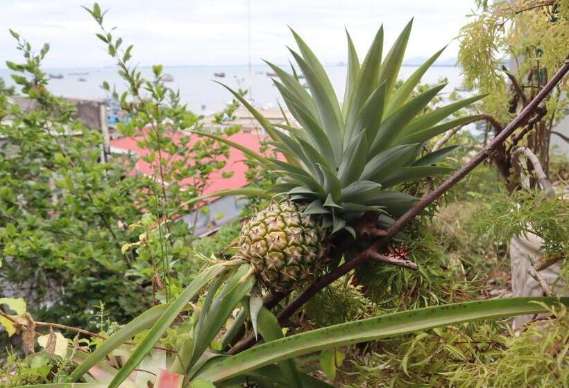 Cassabella Hotel & Apartments