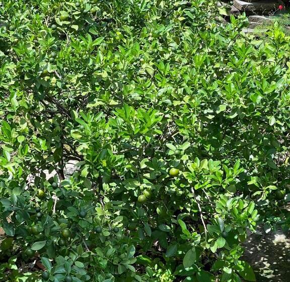 Cassabella Hotel & Apartments