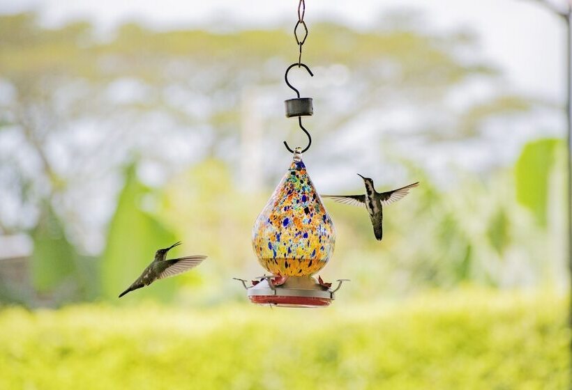 호텔 Campestre Café Café