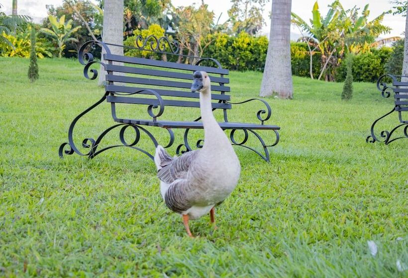 호텔 Campestre Café Café