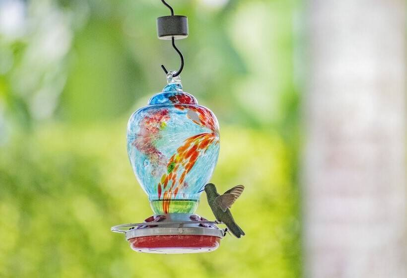 هتل Campestre Café Café