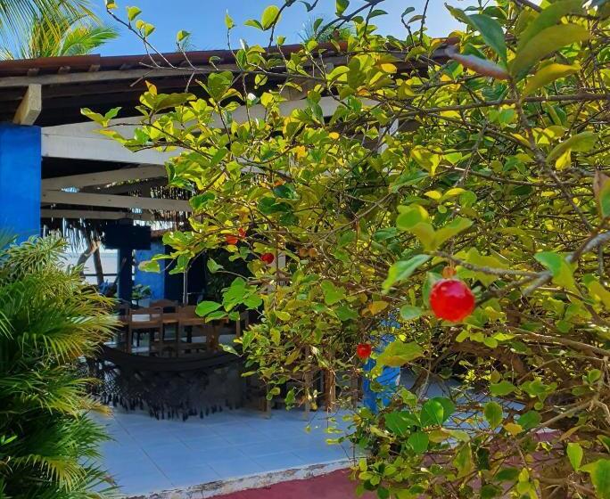 膳宿费 Casarão Do Pontal