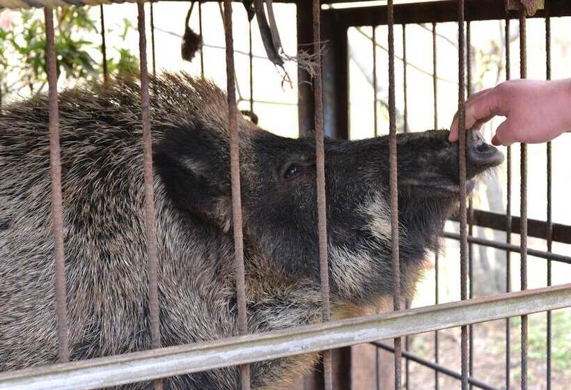 ペンション Mizuwake Minshuku Mura