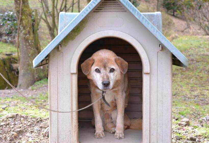 ペンション Mizuwake Minshuku Mura