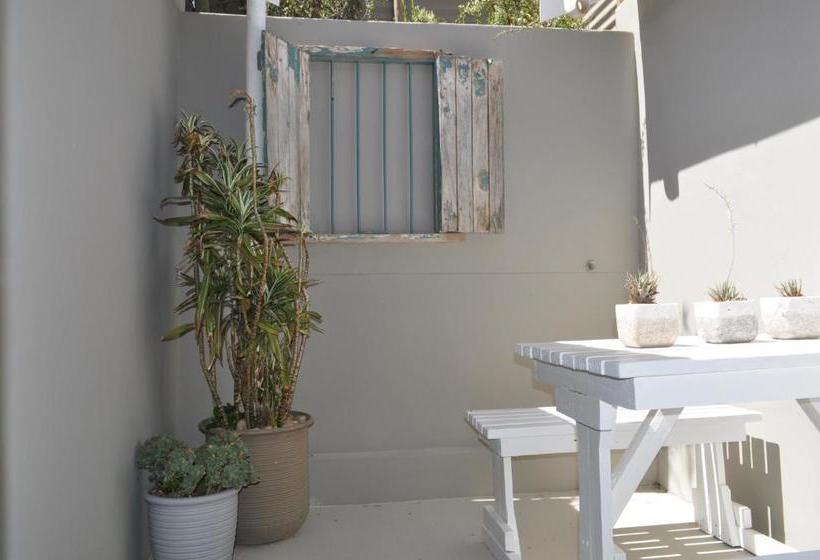 بنسيون The Calitz