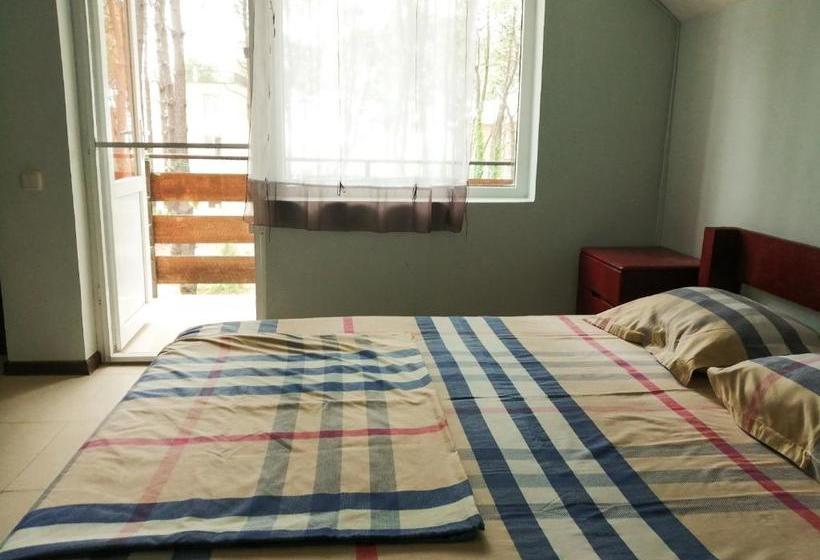 پانسیون Villa Vachnadze