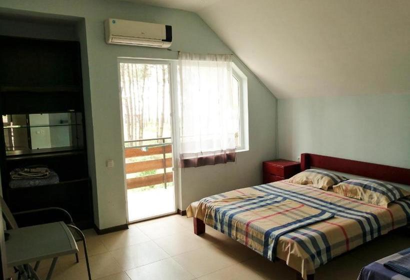 پانسیون Villa Vachnadze