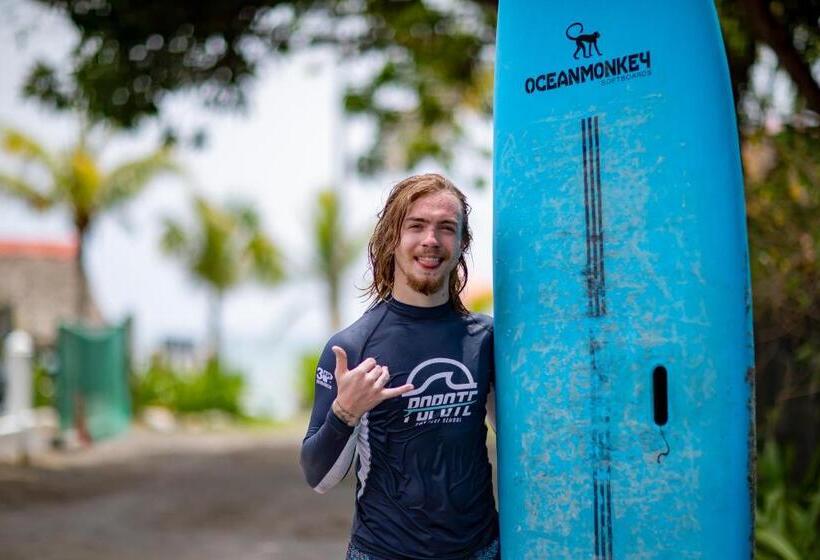 فندق صغير Panama Beach Lodge