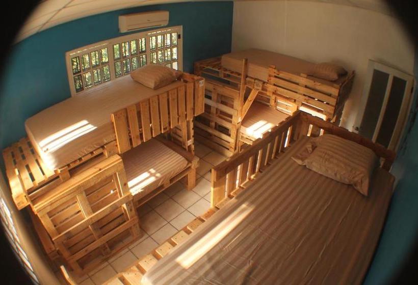 הוסטל Panama Beach Lodge