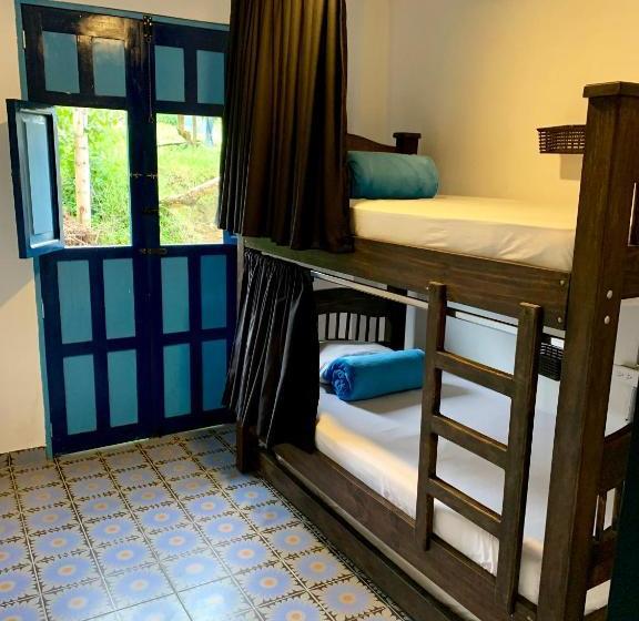 Walker S House Hostel