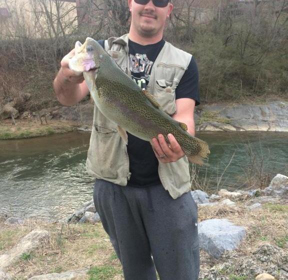 Peabody S  Hip Little Stay  B&b