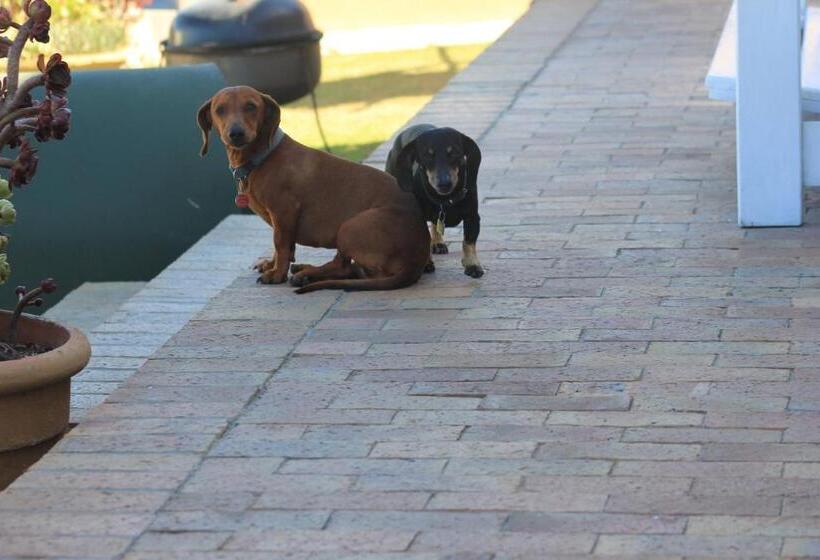 بنسيون 14 Penguin Place, Melkbosstrand