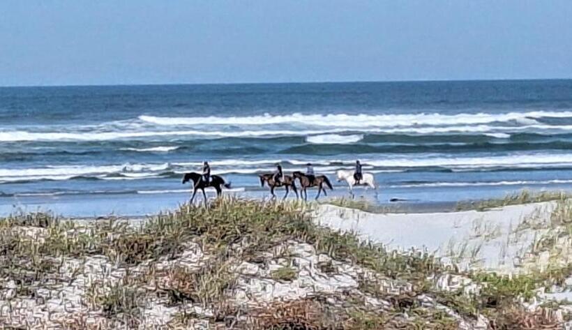 بنسيون 14 Penguin Place, Melkbosstrand