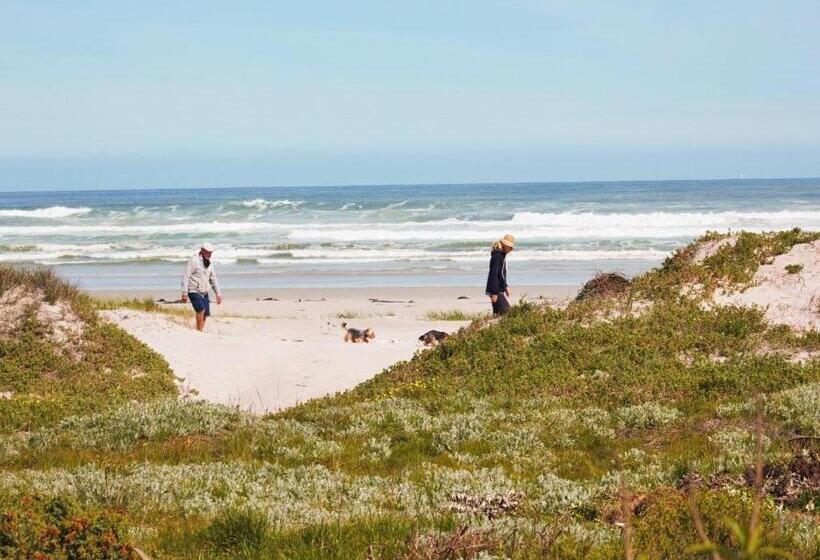 بنسيون 14 Penguin Place, Melkbosstrand