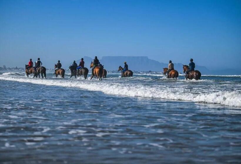 بنسيون 14 Penguin Place, Melkbosstrand