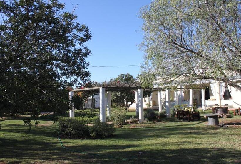 پانسیون 86 On Jubilee