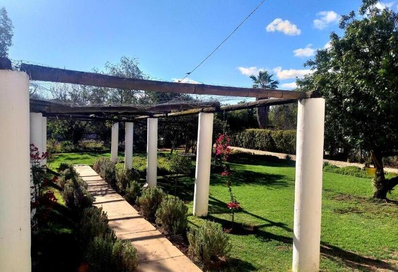 پانسیون 86 On Jubilee