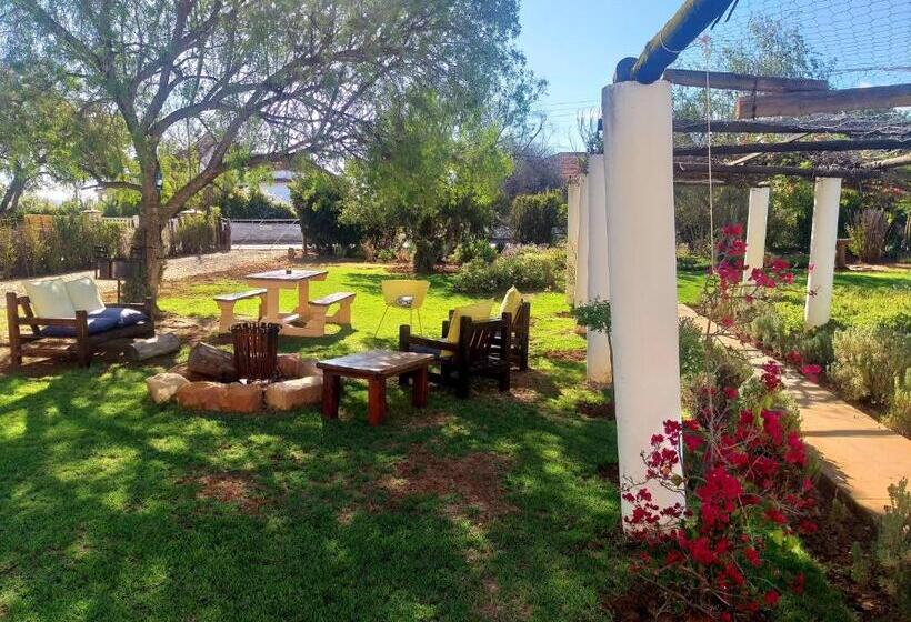 پانسیون 86 On Jubilee