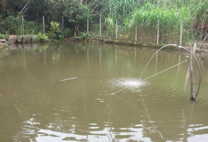 ペンション Abaete Pousada Da Estancia