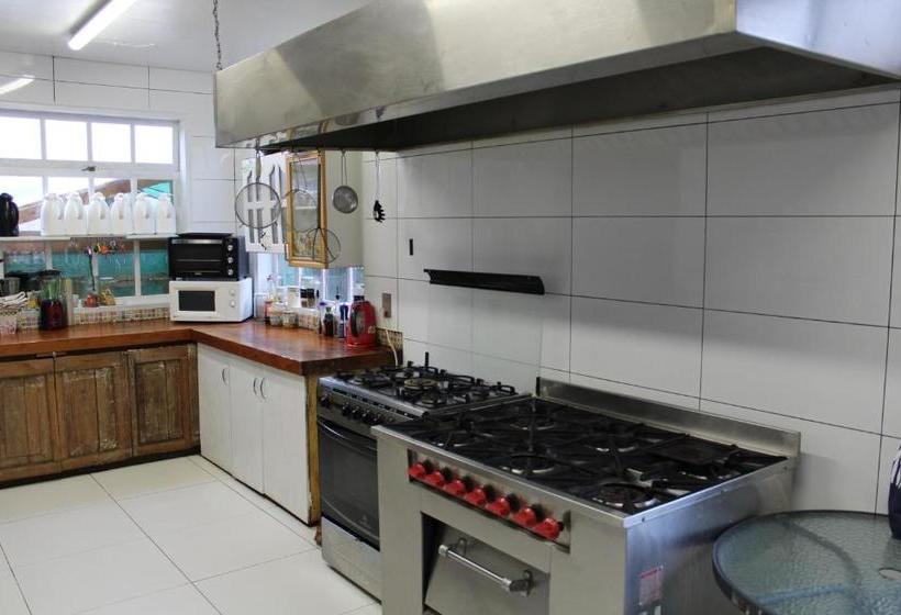 ペンション Hospedajes Tabolango