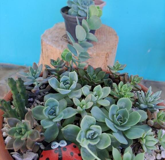 膳宿费 Estância Villa Ventura