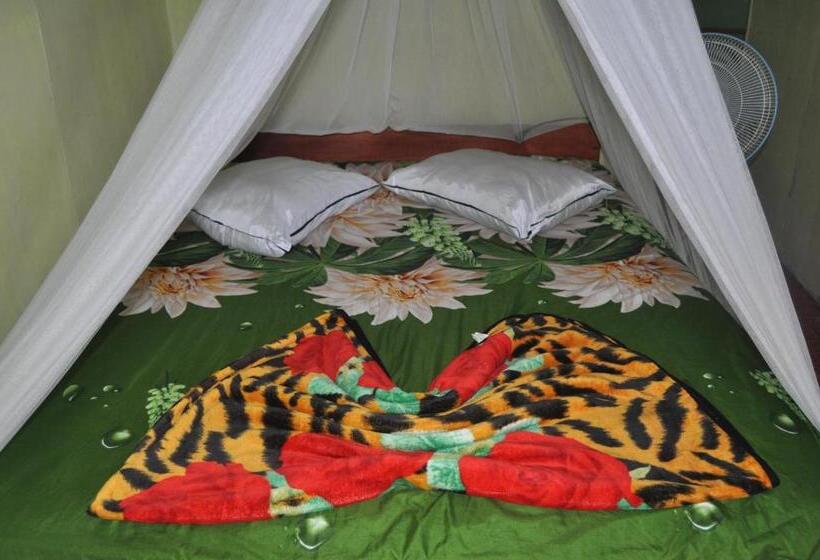 펜션 Fun Family Guest House N Jungle Tour