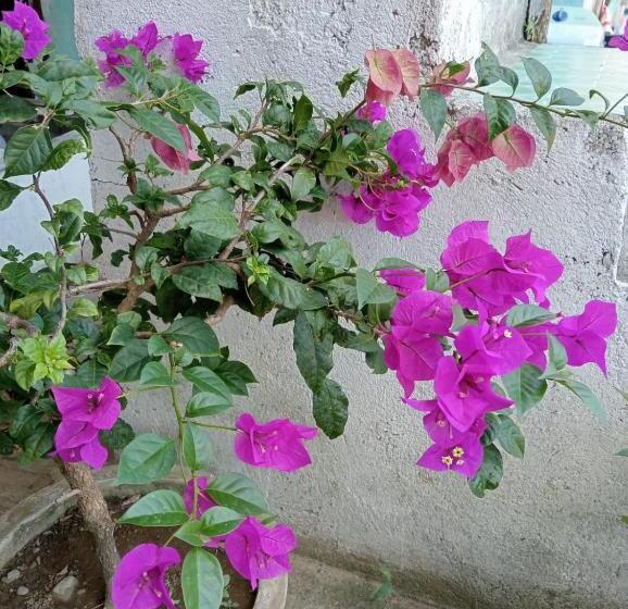 펜션 Fun Family Guest House N Jungle Tour