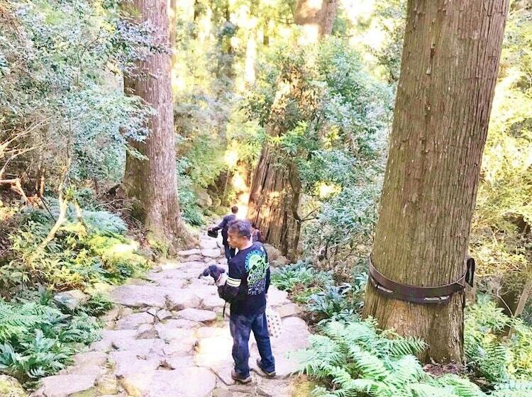 膳宿费 Guest House Branchee