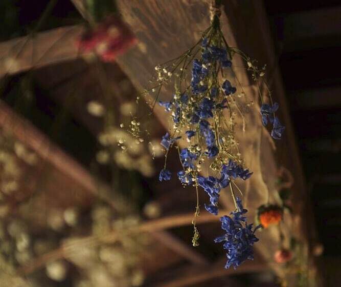 Pensão Hostel&bar Camosiba