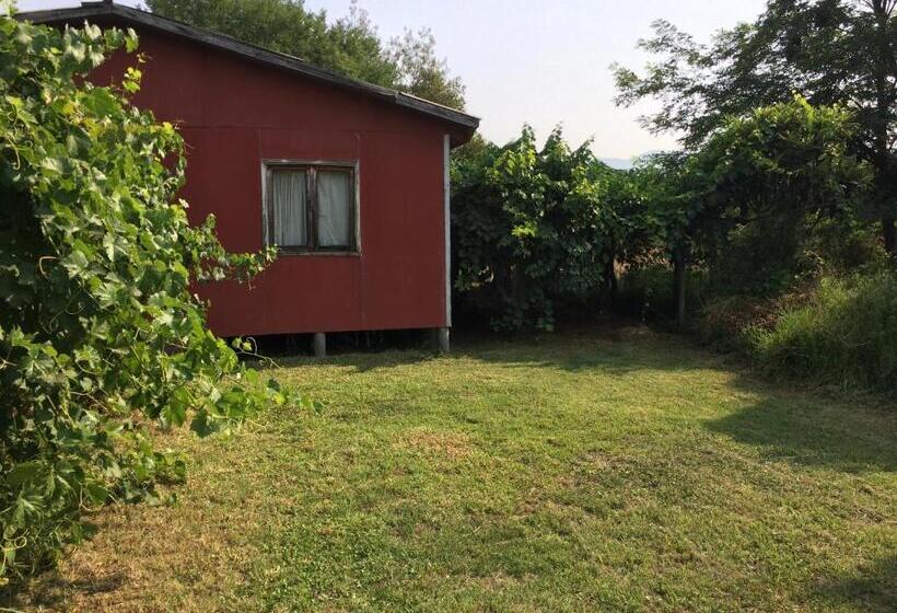 פנסיון La Casa Vinilla