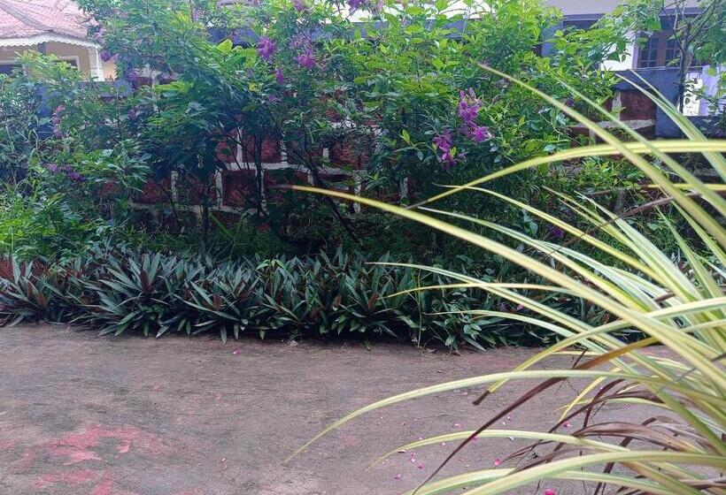 פנסיון Lobo S Guesthouse