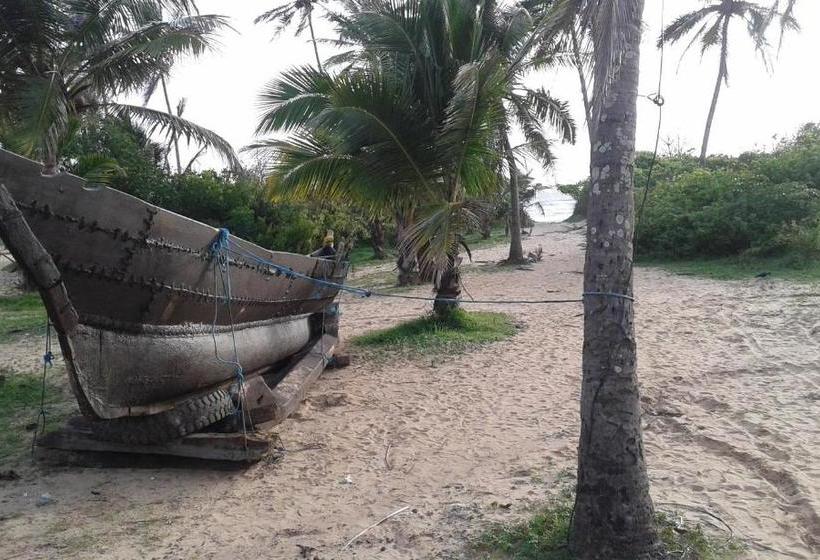 פנסיון Lobo S Guesthouse