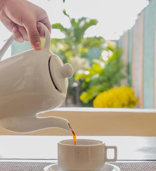 פנסיון Pousada Aruans Casarão