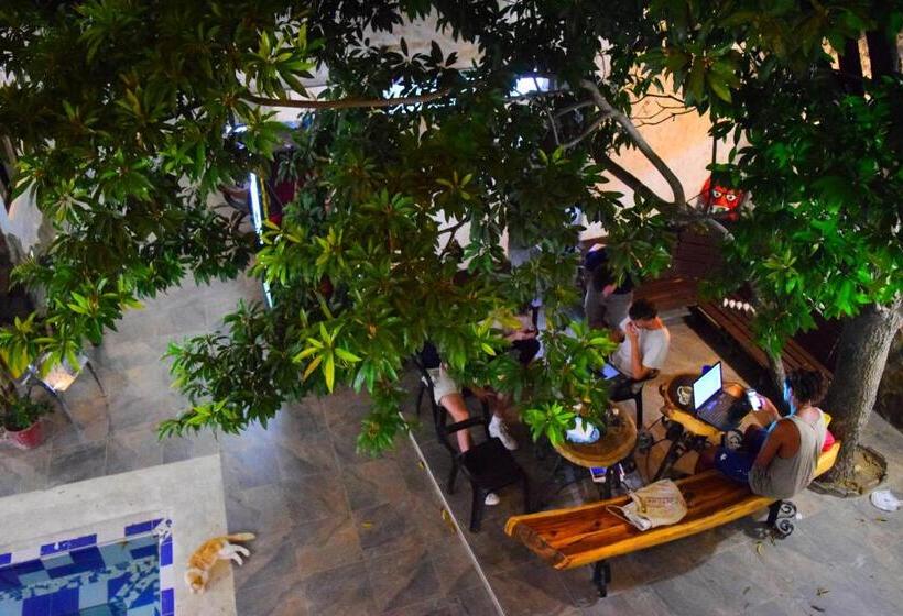 ペンション Rokadura Hostel