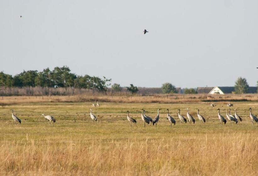 ペンション Sasfészek   Falusi Szálláshely
